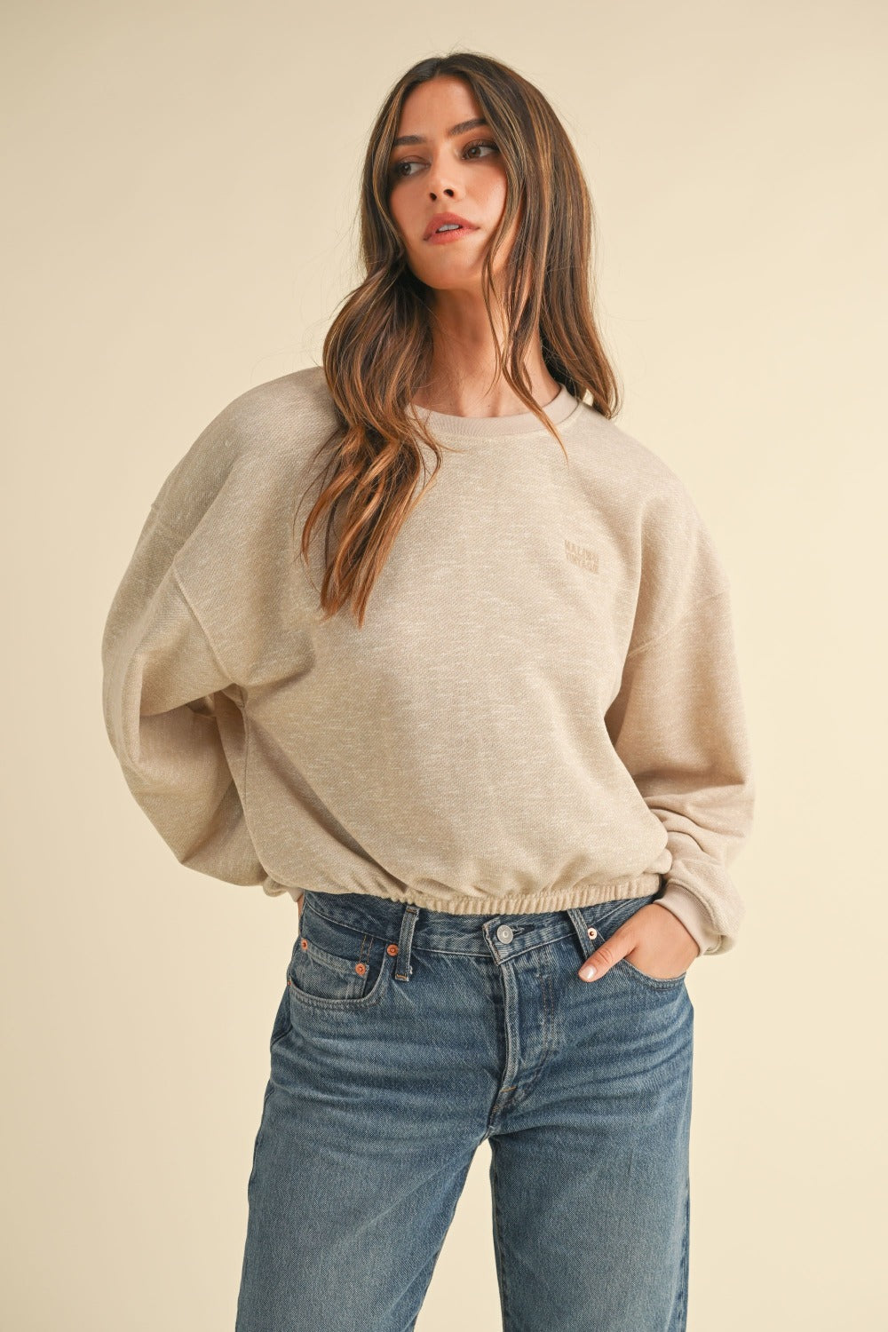 Mable round neck letter embroidery crop sweatshirt - taupe / s